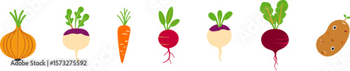 Colorful vegetables including onion, carrot, radish, and potato  