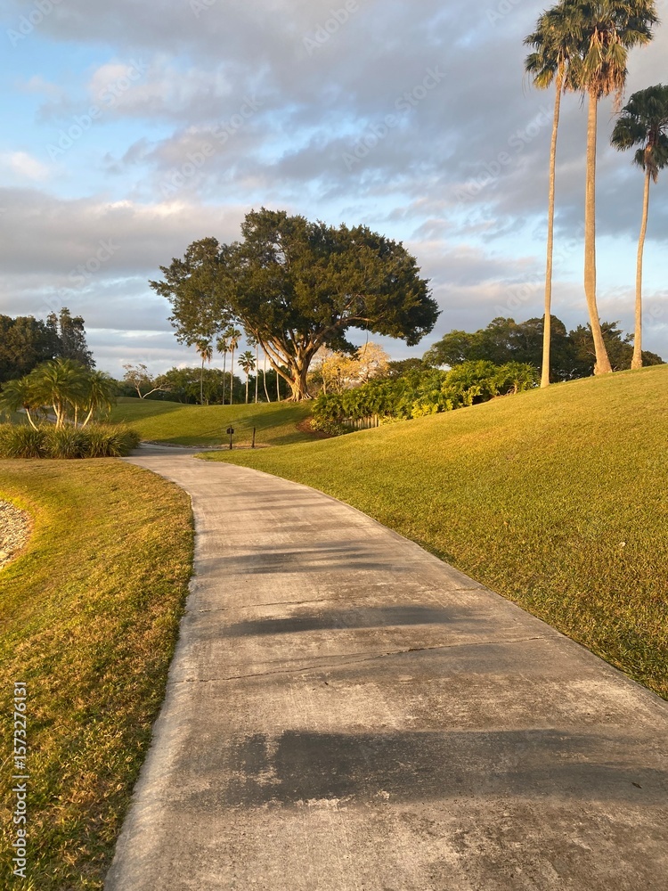 Obraz premium road in the park