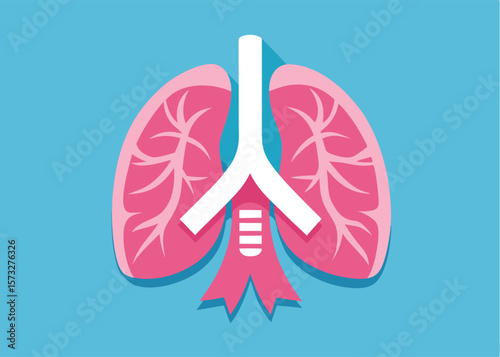 Pink lungs with white trachea and ribs against blue background appear clean
