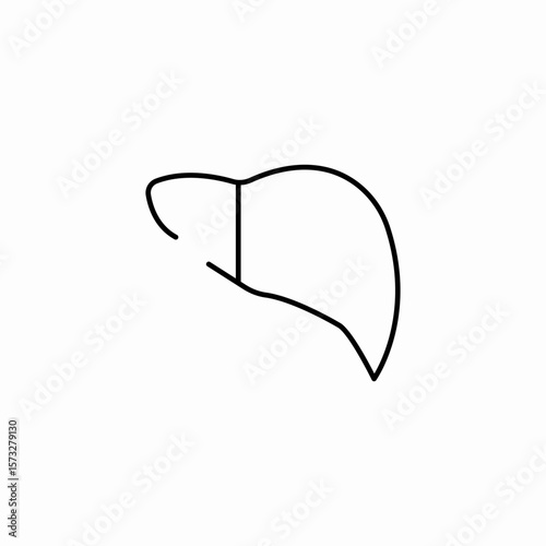 human liver icon sign vector