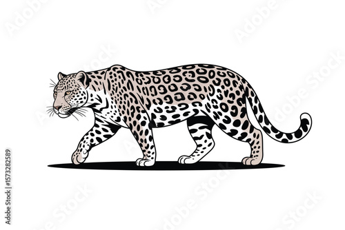 Jaguar art walking on white, showing its beautiful spotted coat and strong physique in an eye-catching illustration.
