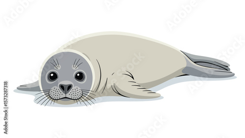 Adorable seal pup rests, showcasing its gentle eyes and soft features, a charming illustration of marine wildlife on a white background.