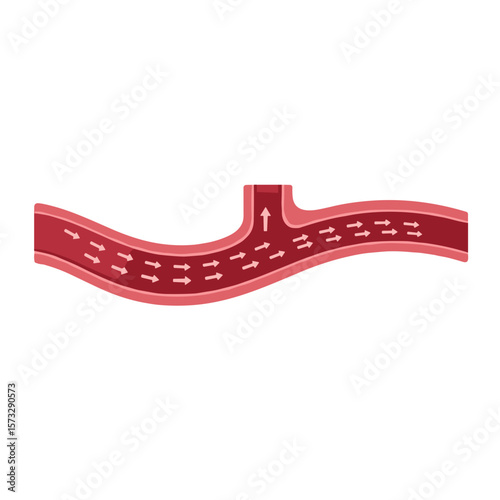 Blood flow arrows illustrating movement in red vessels. Flat vector isolated on transparent background.
