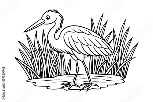 Little baby egret wading through water for kids coloring book Vector illustration