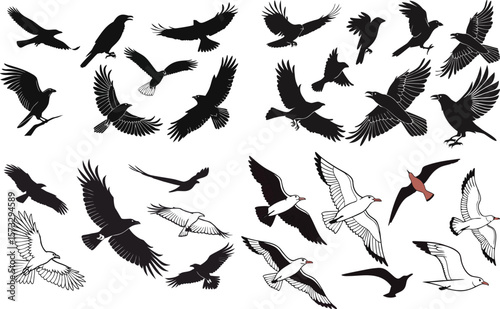 Flying bird silhouettes collection a set of birds in flight design element