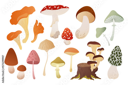 Vector set of textured forest mushrooms in warm autumn colors. Hand drawn fungi, toadstools, chanterelles and boletus for fall card, banner, print, poster, packaging or cozy seasonal design element