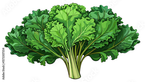  close up A bunch of organic kale, with curly, dark green leaves and strong stems, stands upright like a leafy bouquet, symbolizing energy, detox, and clean eating in modern design.. White background