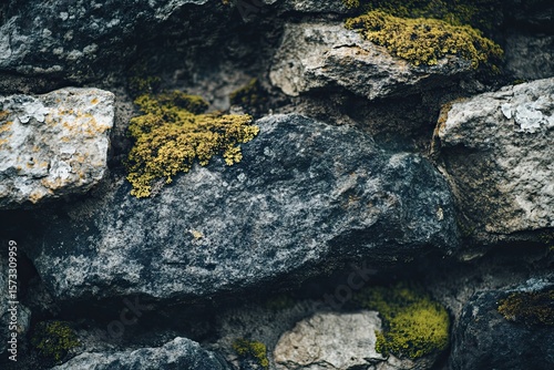 Close-up macro photograph of a rock formation showing intricate textures and vivid colors.