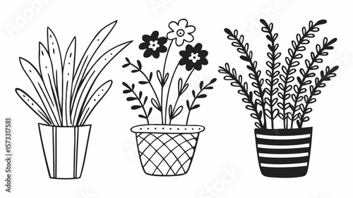 Plant silhouettes decorated with flowers, hand-drawn and isolated for creating stylish seasonal or botanical-inspired visuals.