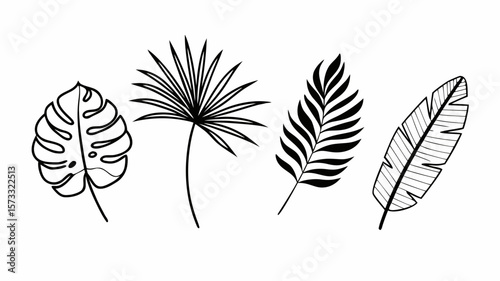 Set of black silhouettes of different tropical leaves, minster, eucalyptus, palm leaves. Vector illustrations isolated on transparent background, Black and white monstered tropical leaf pattern.