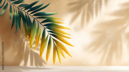 Plant Leaf Shadows On Light Brown Wall Minimalist Photography