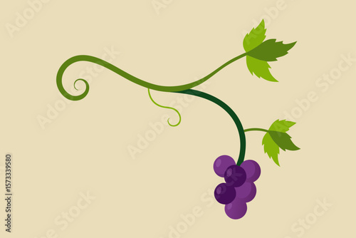 vector illustration of grapes with leaves