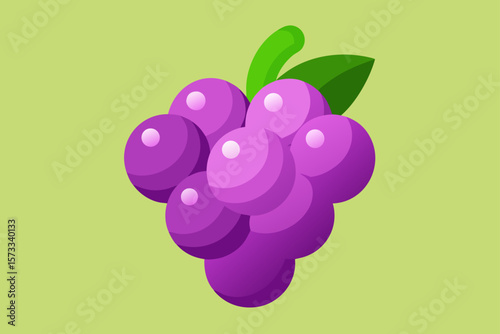 vector illustration of a grape
