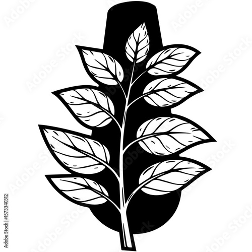 Leaf illustration shows detailed foliage on branch with simple line art on white background. Leaf illustration includes foliage shape on plant, sketched with ink, for decoration.