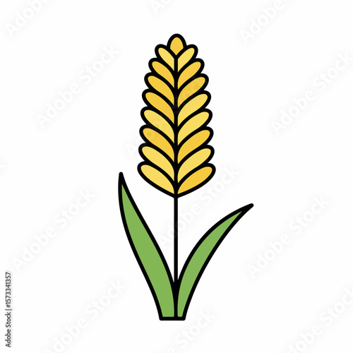 Simple image effects with light outlining of an ear of wheat or barley, with golden grains and green leaves. Image effects include an illustration demonstrating graphic style and composition.