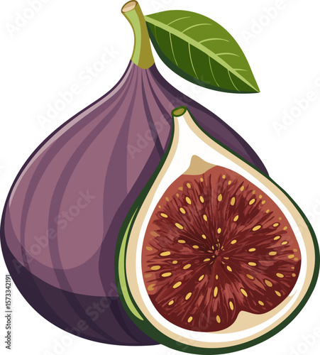 figs with leaves vector illustration