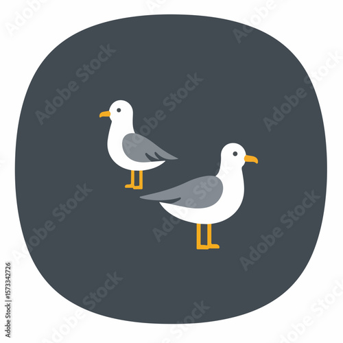 Seagull illustration showing two seagull birds on dark background. A simple seagull illustration presents seabirds with white and gray feathers, perfect for minimalist design.