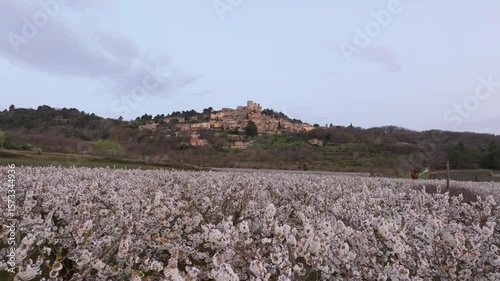 Aerial view of sunrise over cherry trees and historic Lacoste, France