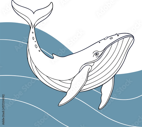 Whale Outline Illustration: A simple yet elegant line art illustration of a whale gracefully swimming in the ocean.