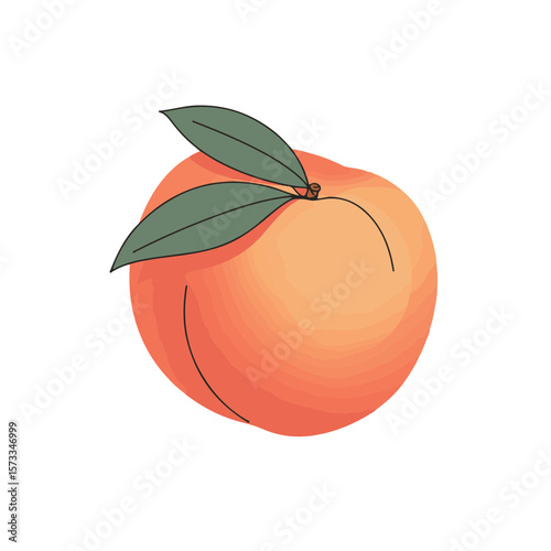 Peach fruit with green leaves in colorful and playful style  