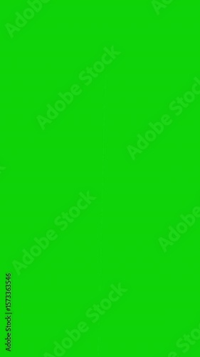 Vertical VHS overlay animation with analog noise and horizontal scratch lines on green screen background. Designed for chroma key use in vertical video editing and retro style projects.