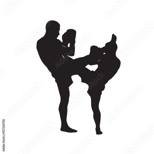 Man in silhouette delivers a powerful high kick during martial arts training