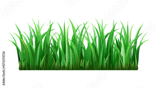 Lush green grass vector illustration for lawn care and landscaping design use