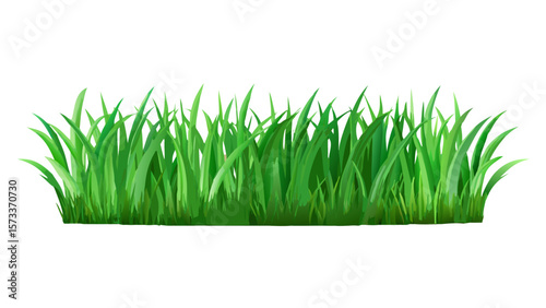 Green grass vector illustration for lawn care and landscaping design element