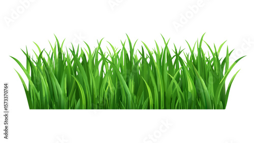 Realistic green grass vector illustration for lawn garden landscaping design