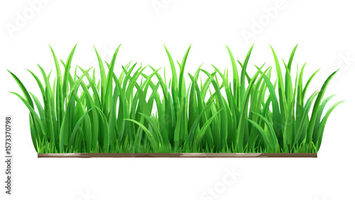 Beautiful green grass vector illustration for landscaping and nature designs use