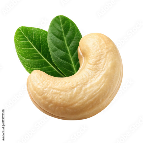 A single pale yellow cashew nut with a curved shape rests beside two vibrant green cashew leaves on a black background