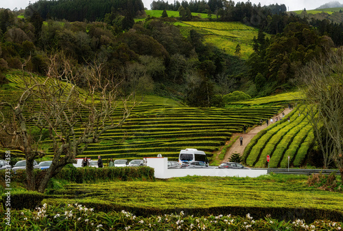 View of Ponta Delgada, Azores