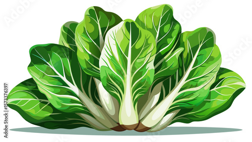  close up Crisp organic romaine lettuce, fresh and hydrating, displays long, vibrant green leaves with white ribs, standing like leafy towers in soft light with fresh morning dew.. White background