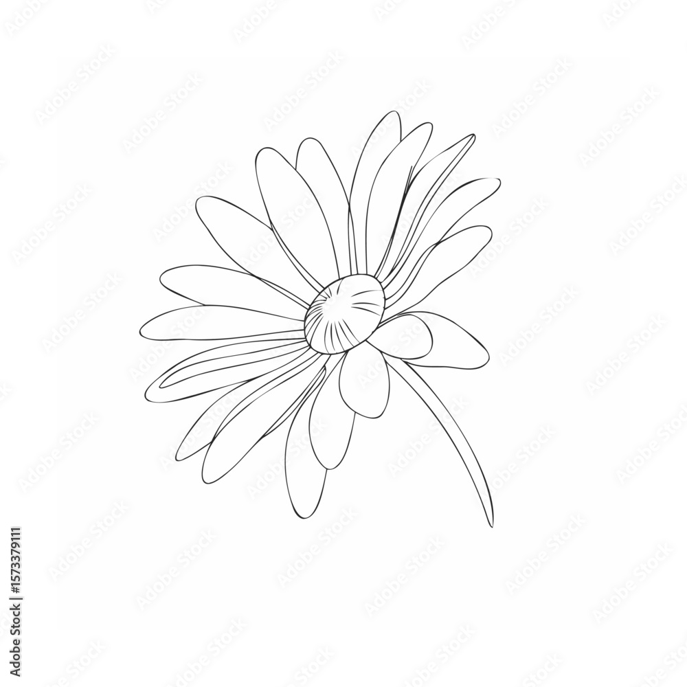 Fototapeta premium white flower on white background