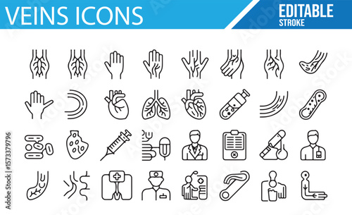 Healthcare and Anatomy Icons for Medical Design Projects