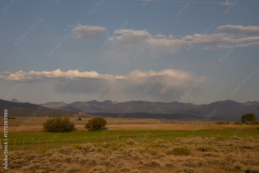 landscape with a field landscape with a field