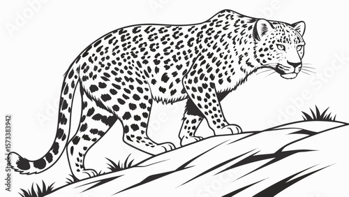 Leopard coloring page for kids and adults printable black and white outline drawing animal illustration