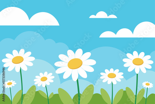 summer meadow with daisies
