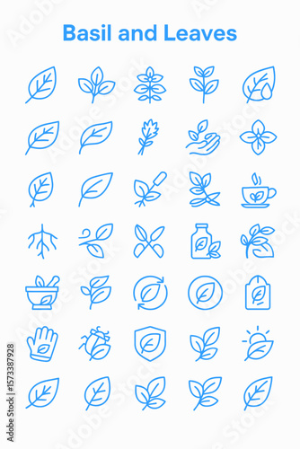 Collection of simple line art illustrations depicting various aspects of basil and leaves, from plant parts to uses.