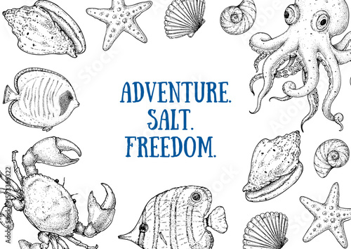 Vintage hand-drawn marine illustrations featuring an octopus, crab, aquarium fish, seashells, starfish, and more. Vector illustration. Detailed ink sketch style with coastal vibes.