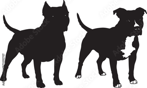 American Pit Bull Terrier Dog silhouette