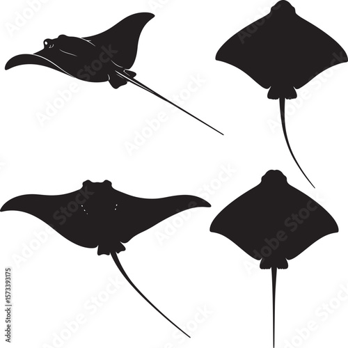 Stingray silhouette
