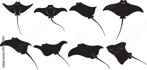 Stingray silhouette
