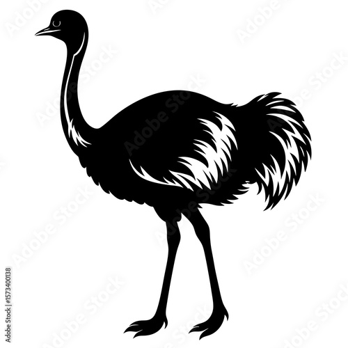 ostrich vector illustration