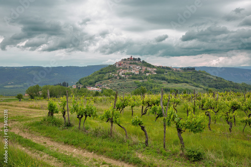 Motovun hilltop town with vineyard landscape in Croatia.