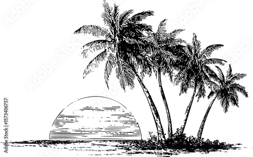 Silhouette of palm trees with sun setting over the ocean in black and white