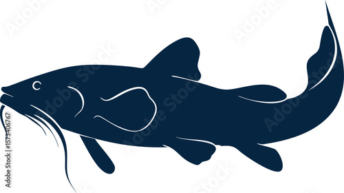 Silhouette of a catfish with fins and whiskers in dark blue profile