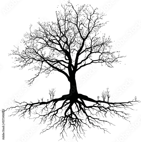 Silhouette of a barren tree with exposed roots and smaller branches