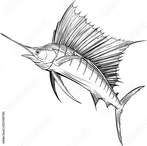 Black and white illustration of a sailfish with detailed line art