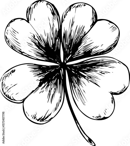 Hand-drawn detailed black and white four-leaf clover illustration